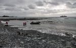 Macquarie Island