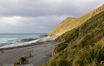 Macquarie Island