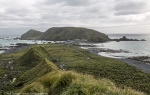 Macquarie Island