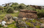 Macquarie Island