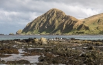 Sandy Bay, Macquarie Island