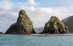 Sandy Bay, Macquarie Island
