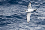 f1_southern-ocean_03feb15_06