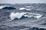 f3_southern-ocean_05feb15_005