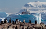 Antarctica 25 January - 04 February, 2012