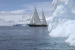 anne-margaretha_sailing_in_antarctica