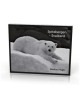 https://www.spitzbergen.de/?page_id=58332