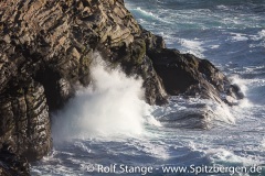 Antarktis: Falklands