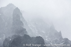 Antarktis: Südgeorgien