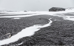 d7_Deception-Island_20Nov13_190