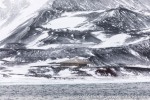 Scotts Discovery-Hütte am Hut Point bei der McMurdo-Station.