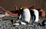 Stromness_29Mar09_008