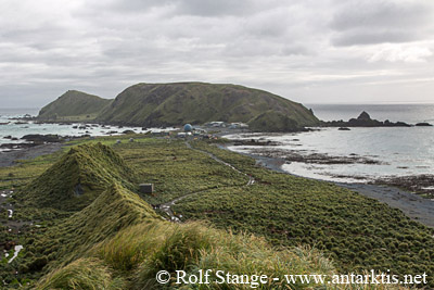 Macquarie Island