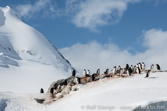 Snow, Antarctic Peninsula