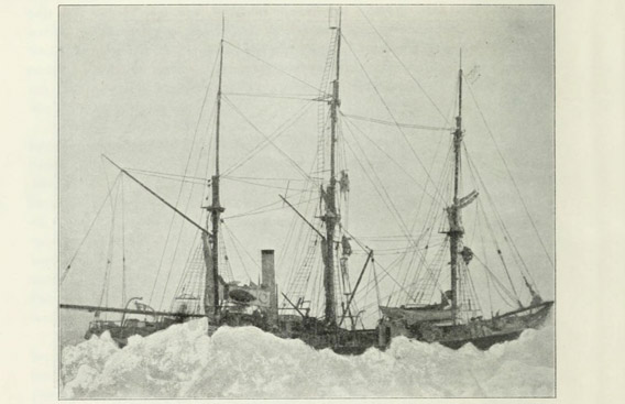 Das Schiff Antarctic im Eis