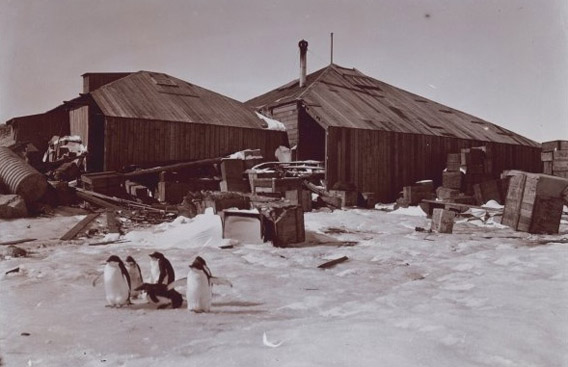 Die Hütte der Australasian Antarctic Expedition am Kap Denison, Commonwealth Bay
