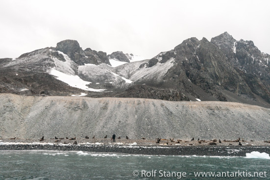 Jenny Island