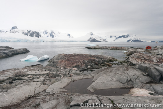 Port Circumcision, Petermann Island