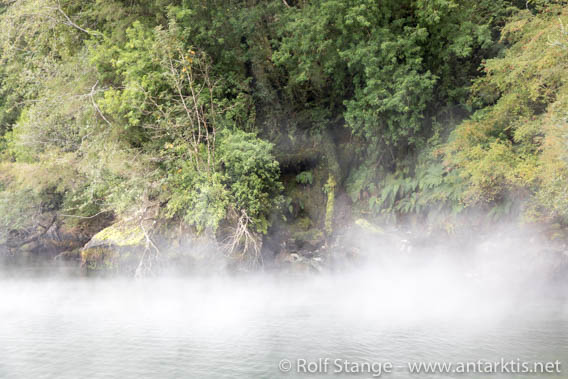 Termas de Punta Perez - Seno Aysén - 01 April 2018