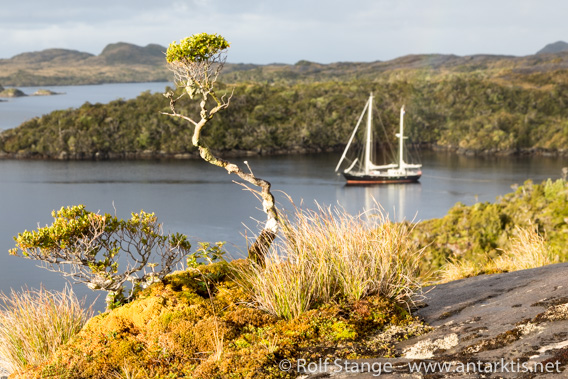 Sailing Antarctica and Patagonia with SY Anne-Margaretha: photo galleries and triplogs